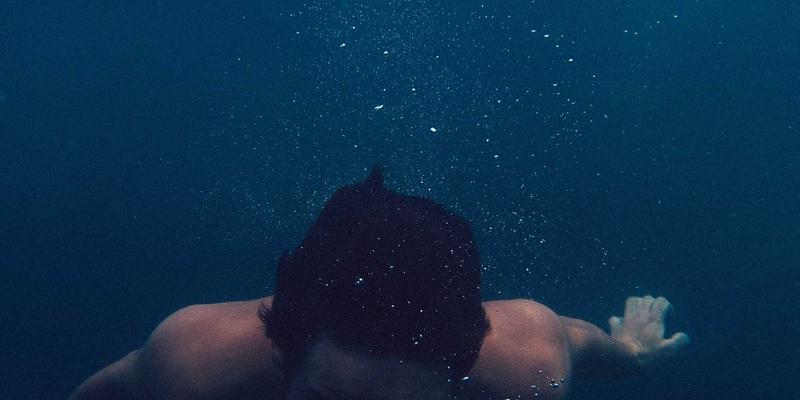 暗夜茶韵：在韩溪山萤火秘境中，体验一场融合茶道哲思的夜间生态探索