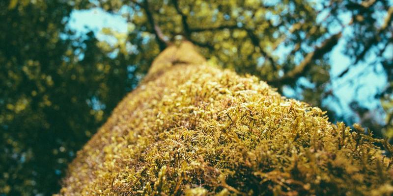柴火淬炼与电流雕琢：韩溪山陶土茶具的烧制密码，如何影响你的每一泡茶？