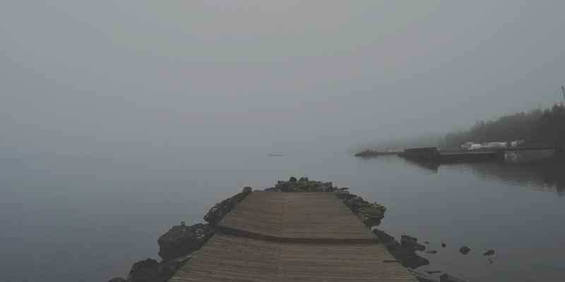 韩溪山古茶树群落探秘:千年野生茶树的基因宝库与保护挑战