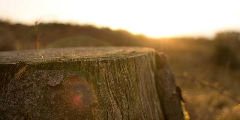 韩溪山四季摄影指南：在茶香晨雾、斑斓秋叶与静谧雪景中捕捉秘境光影