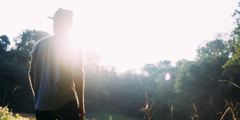 韩溪山土壤微生物的隐秘王国：看不见的生命如何滋养顶级茶韵，以及一把紫砂壶的完美演绎