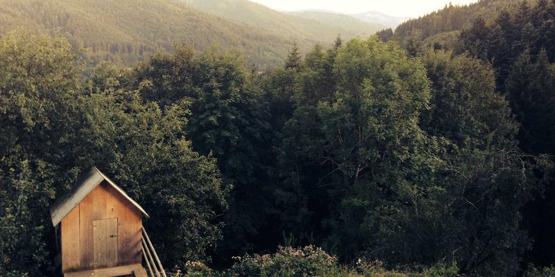 韩溪山寻踪:从古道碑刻到绿茶茶具,探秘一座山的千年文脉