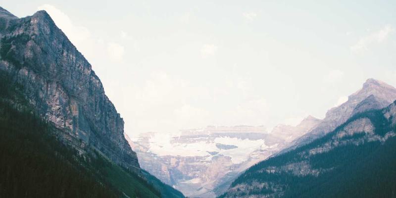 韩溪山生态茶园:当茶道遇见鸟道,揭秘绿茶园如何化身候鸟迁徙的隐秘驿站