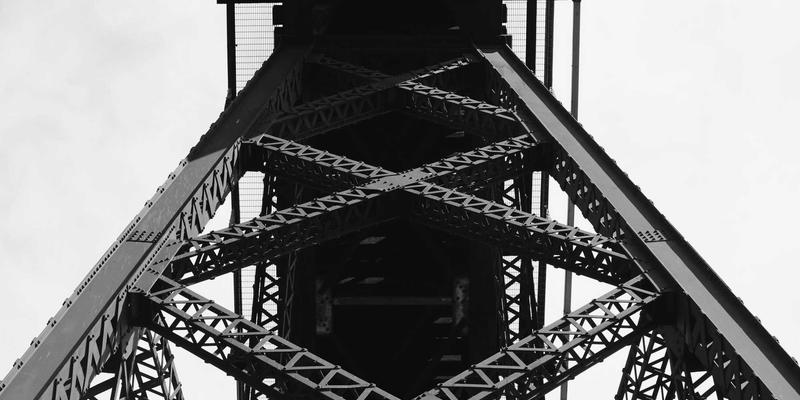 韩溪山茶种质资源库:当千年茶树基因遇见现代科技,如何重塑红茶未来?