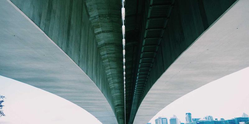 韩溪山野生植物图鉴:当赛博朋克遇见千年茶艺,解码珍稀物种的药用密码